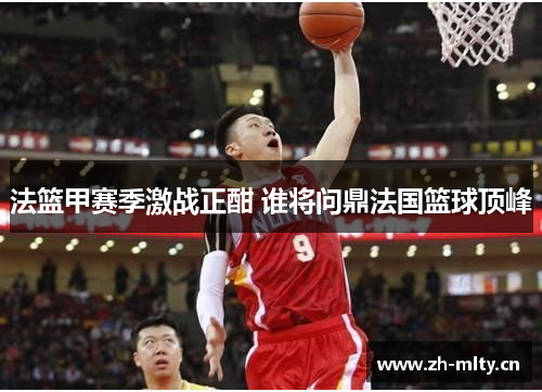 法篮甲赛季激战正酣 谁将问鼎法国篮球顶峰