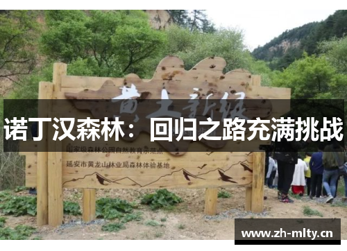 诺丁汉森林:回归之路充满挑战 诺丁汉森林:回归之路充满挑战